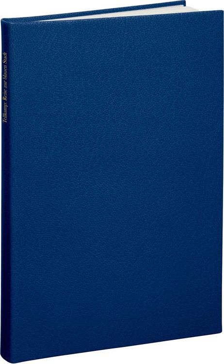 Produktbild: Reise zur blauen Stadt