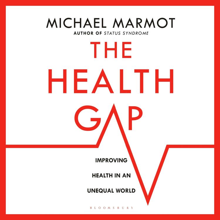 Produktbild: The Health Gap