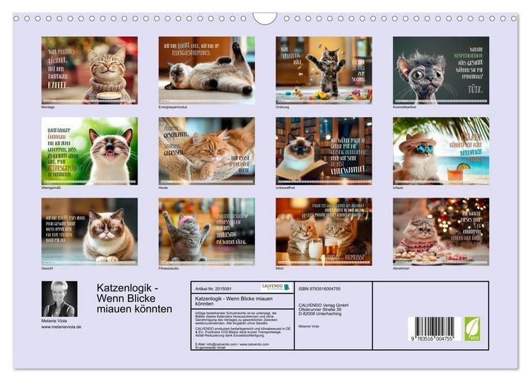 Produktbild: Katzenlogik - Wenn Blicke miauen k&ouml;nnten (Wandkalender 2026 DIN A3 quer), CALVENDO Monatskalender