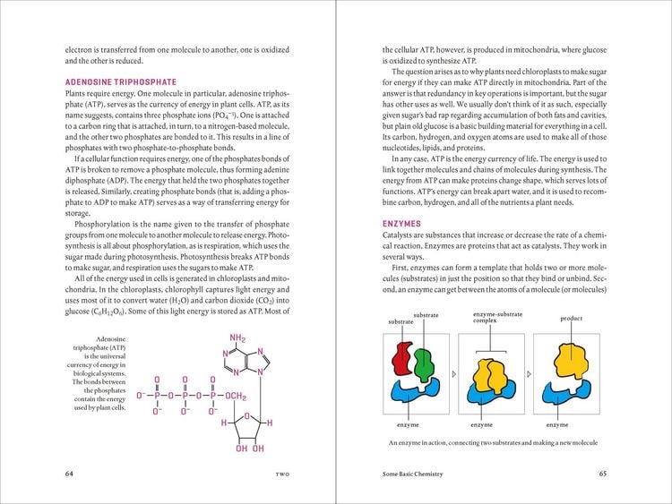 Produktbild: Teaming with Nutrients