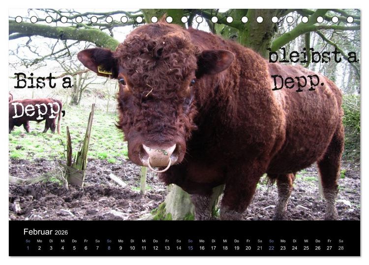 Produktbild: Baierische Lebensweisheiten (Tischkalender 2026 DIN A5 quer), CALVENDO Monatskalender