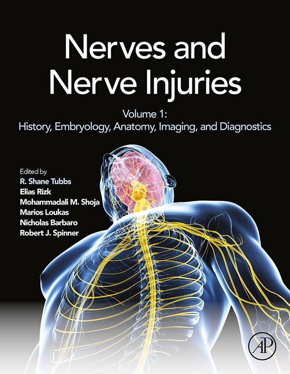 Produktbild: Nerves and Nerve Injuries