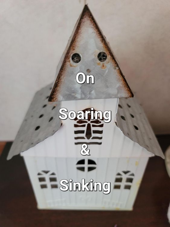 Produktbild: On Soaring & Sinking (Poetry Volume)