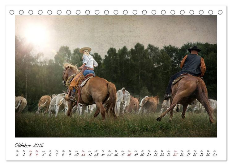 Produktbild: Mecklenburgs Wilder Westen (Tischkalender 2026 DIN A5 quer), CALVENDO Monatskalender