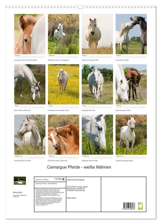Produktbild: Camargue Pferde - wei&szlig;e M&auml;hnen (Wandkalender 2026 DIN A2 hoch), CALVENDO Monatskalender