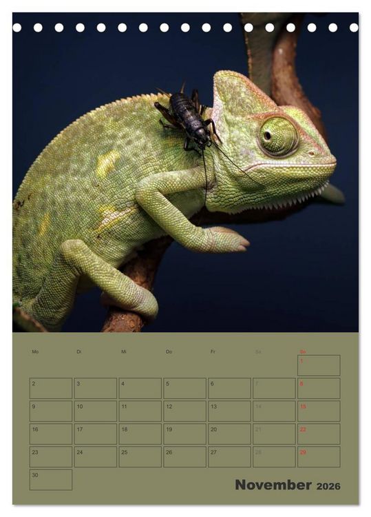 Produktbild: Minidrachen - Die kleinen Nachkommen der Urzeitmonster (Tischkalender 2026 DIN A5 hoch), CALVENDO Monatskalender
