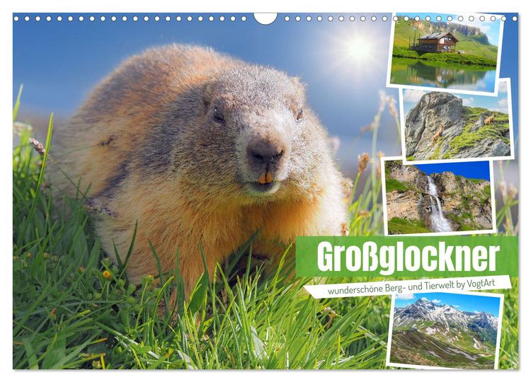 Produktbild: Gro&szlig;glockner wundersch&ouml;ne Berg- und Tierwelt (Wandkalender 2026 DIN A3 quer), CALVENDO Monatskalender