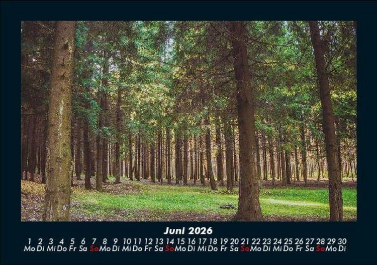 Produktbild: Waldzauber 2026 Fotokalender DIN A5