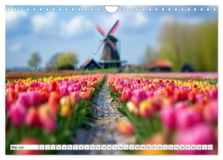 Produktbild: Die Welt in Klein (Wandkalender 2026 DIN A4 quer), CALVENDO Monatskalender
