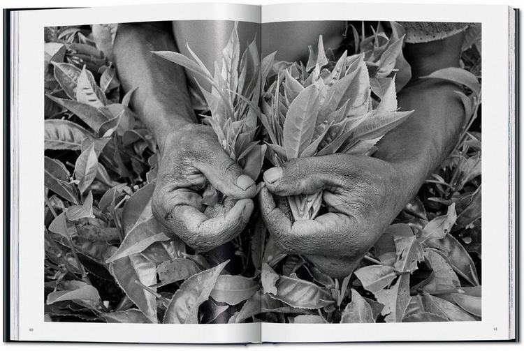 Produktbild: Sebasti&atilde;o Salgado