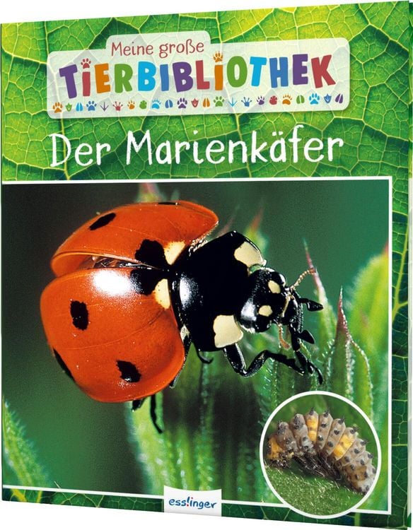 Produktbild: Meine große Tierbibliothek: Der Marienkäfer
