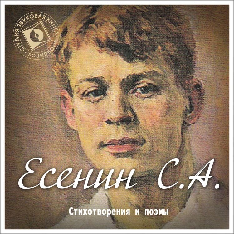 Produktbild: Stihi i poemy Esenina