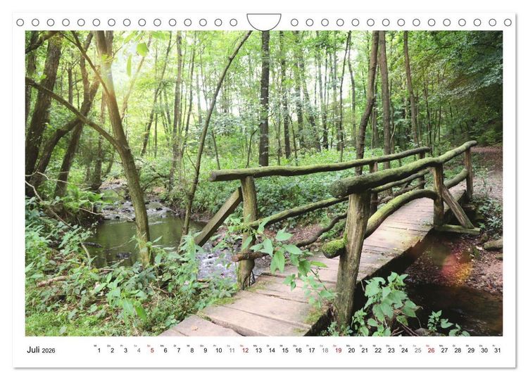 Produktbild: Mein Sehnsuchtsort, der heimische Wald (Wandkalender 2026 DIN A4 quer), CALVENDO Monatskalender