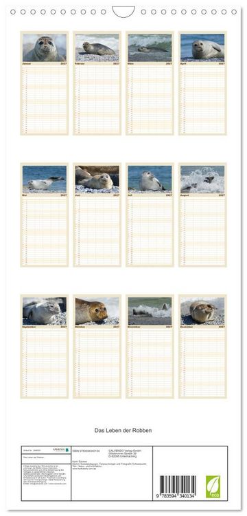 Produktbild: Familienplaner 2027 - Das Leben der Robben mit 5 Spalten (Wandkalender, 21 x 45 cm) CALVENDO