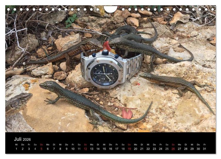 Produktbild: Armbanduhren reisen um die Welt (Wandkalender 2026 DIN A4 quer), CALVENDO Monatskalender