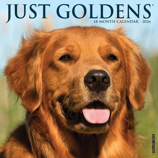 Produktbild: Goldens 2026 Wall Calendar