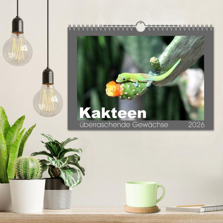 Produktbild: Kakteen - &uuml;berraschende Gew&auml;chse (Wandkalender 2026 DIN A4 quer), CALVENDO Monatskalender
