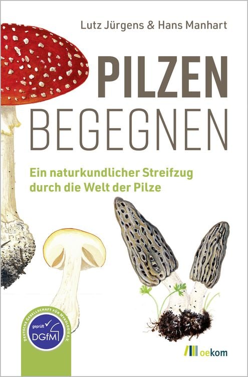 Produktbild: Pilzen begegnen