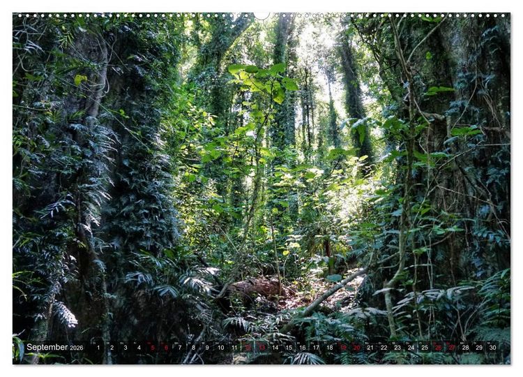 Produktbild: Australien (Wandkalender 2026 DIN A2 quer), CALVENDO Monatskalender