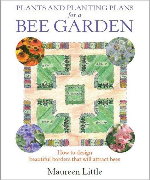 Produktbild: Plants and Planting Plans for a Bee Garden