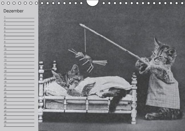 Produktbild: Katzen und Hunde - Nostalgie auf Pfoten (Wandkalender immerw&auml;hrend DIN A4 quer)