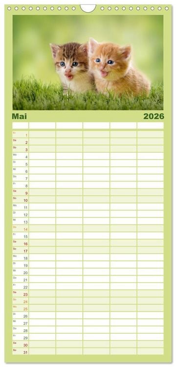 Produktbild: Familienplaner 2026 - K&auml;tzchen 2026 mit 5 Spalten (Wandkalender, 21 x 45 cm) CALVENDO