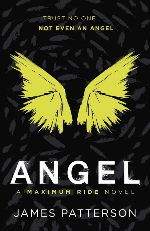 Produktbild: Angel: A Maximum Ride Novel