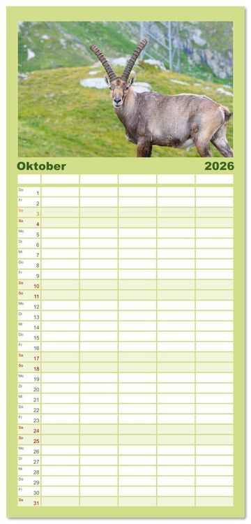 Produktbild: Familienplaner 2026 - Bergk&ouml;nige - Steinb&ouml;cke im Blickpunkt der Naturfotografie mit 5 Spalten (Wandkalender, 21 x 45 cm) CALVENDO