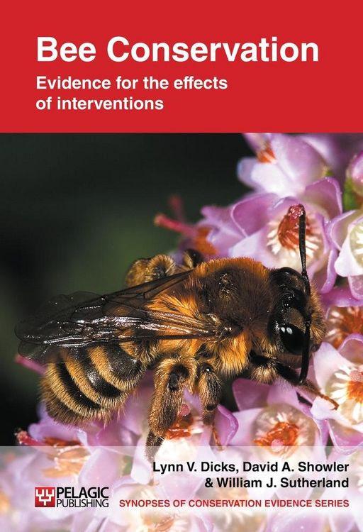 Produktbild: Bee Conservation