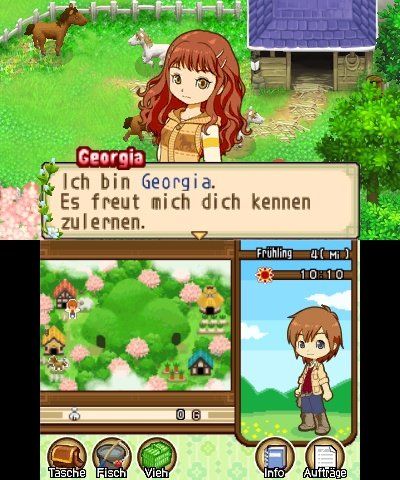Produktbild: Harvest Moon: Tale of Two Towns (3DS)
