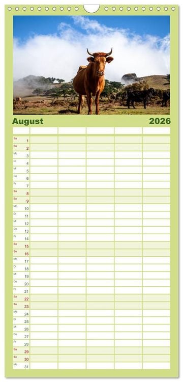 Produktbild: Familienplaner 2026 - Portugal - Das wundersch&ouml;ne Land am Atlantik. mit 5 Spalten (Wandkalender, 21 x 45 cm) CALVENDO