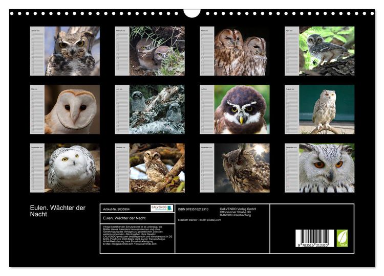 Produktbild: Eulen. W&auml;chter der Nacht (Wandkalender 2026 DIN A3 quer), CALVENDO Monatskalender
