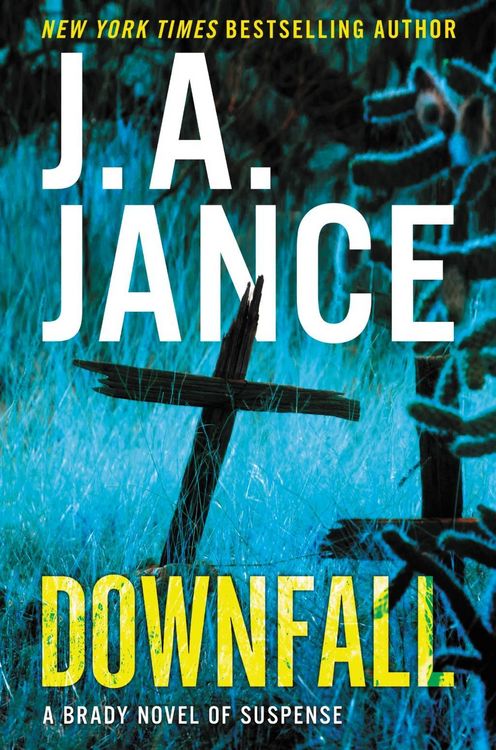 Produktbild: Downfall