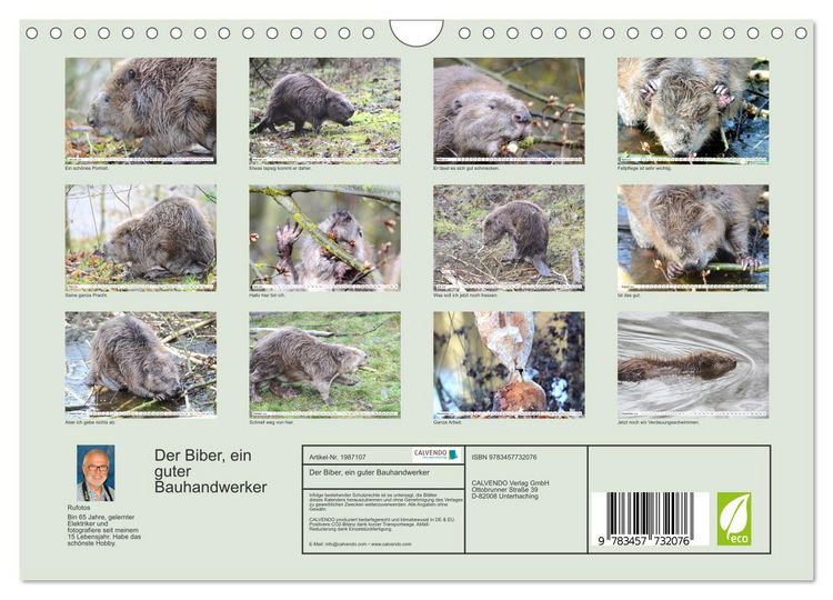 Produktbild: Der Biber, ein guter Bauhandwerker (Wandkalender 2026 DIN A4 quer), CALVENDO Monatskalender