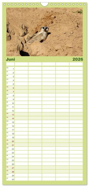 Produktbild: Familienplaner 2026 - Erdm&auml;nnchen mit 5 Spalten (Wandkalender, 21 x 45 cm) CALVENDO
