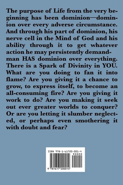 Produktbild: The God in You