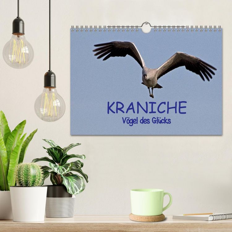 Produktbild: Kraniche - V&ouml;gel des Gl&uuml;cks (Wandkalender 2026 DIN A4 quer), CALVENDO Monatskalender