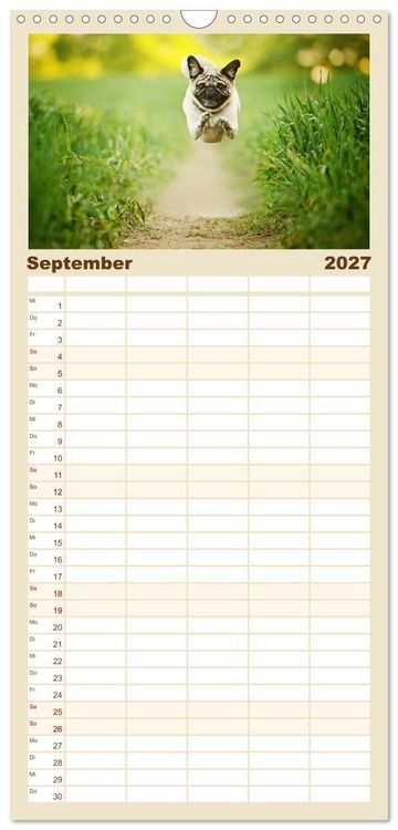Produktbild: Familienplaner 2027 - Lustige M&ouml;pse aus der Hundeknipserei mit 5 Spalten (Wandkalender, 21 x 45 cm) CALVENDO
