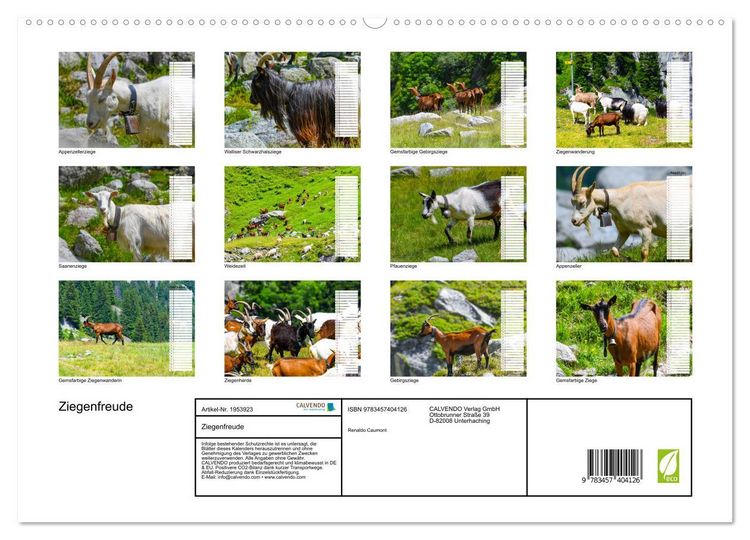 Produktbild: Ziegenfreude (hochwertiger Premium Wandkalender 2026 DIN A2 quer), Kunstdruck in Hochglanz