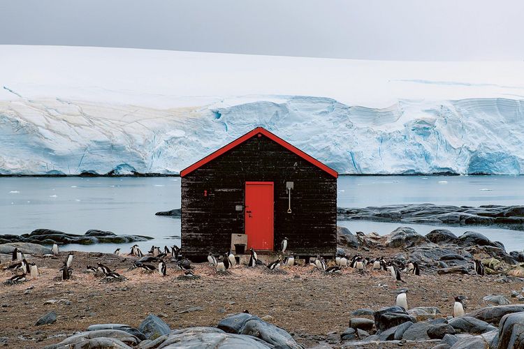 Produktbild: Accidentally Wes Anderson