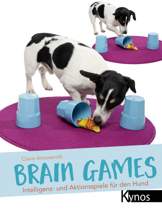 Produktbild: Brain Games