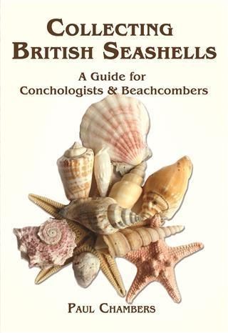 Produktbild: British Seashells