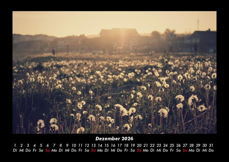 Produktbild: Blumentr&auml;ume 2026 Fotokalender DIN A3