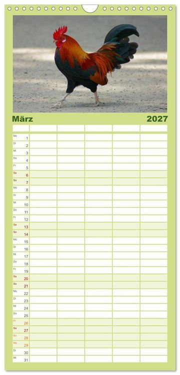Produktbild: Familienplaner 2027 - Die Welt der H&uuml;hner mit 5 Spalten (Wandkalender, 21 x 45 cm) CALVENDO