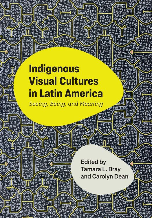 Produktbild: Indigenous Visual Cultures in Latin America