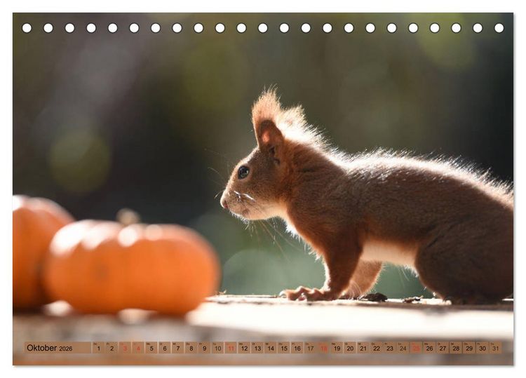 Produktbild: Neuer Spa&szlig; mit Eichh&ouml;rnchen-Kindern (Tischkalender 2026 DIN A5 quer), CALVENDO Monatskalender