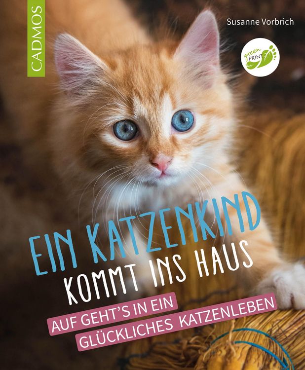 Produktbild: Ein Katzenkind kommt ins Haus