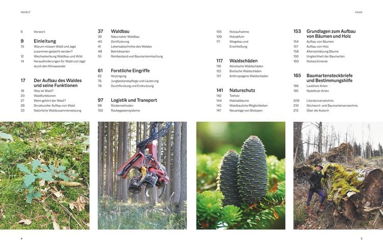 Produktbild: Waldbau f&uuml;r J&auml;ger