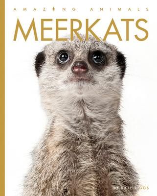 Produktbild: Meerkats