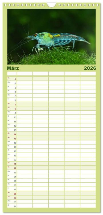 Produktbild: Familienplaner 2026 - Dwarf Shrimps mit 5 Spalten (Wandkalender, 21 x 45 cm) CALVENDO